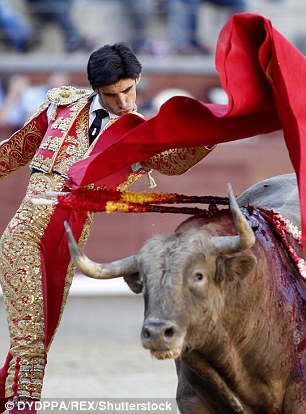 361C399900000578-3682545-Barrio_was_an_award_winning_matador_but_also_a_relative_newcomer-m-109_1468095308766.jpg