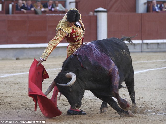 361C9A0900000578-3682545-While_the_matador_nearly_always_survives_during_shows_the_bull_d-m-93_1468094330565.jpg